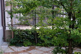 Giardino Minimo8